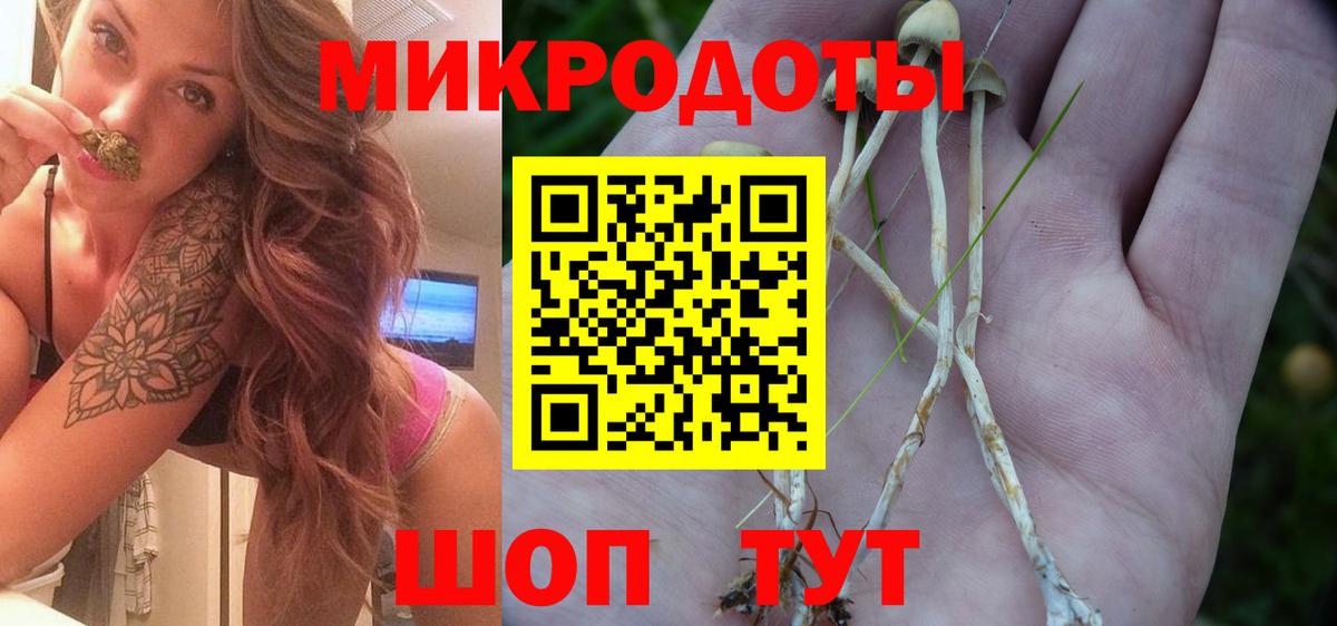 Псилоцибиновые грибы мухоморы  Псилоцибиновые грибы Psilocybe  Вход с VPN  цена   Нефтекумск 